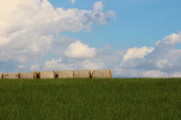 Countryside landscape — Stock Photo, Image