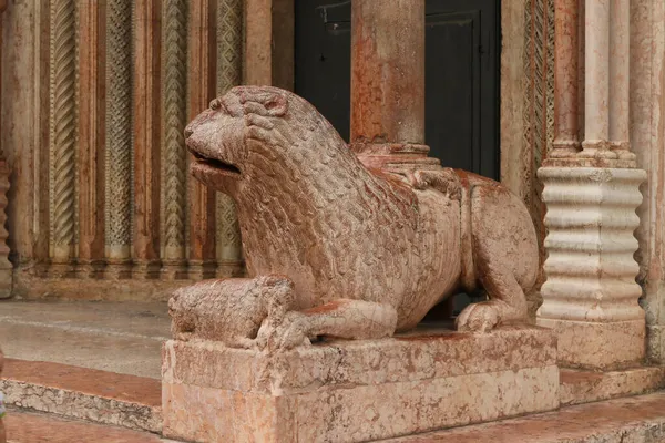 Modena Italien Kathedrale Antikes Skulpturales Detail Des Löwen Rotem Marmor — Stockfoto