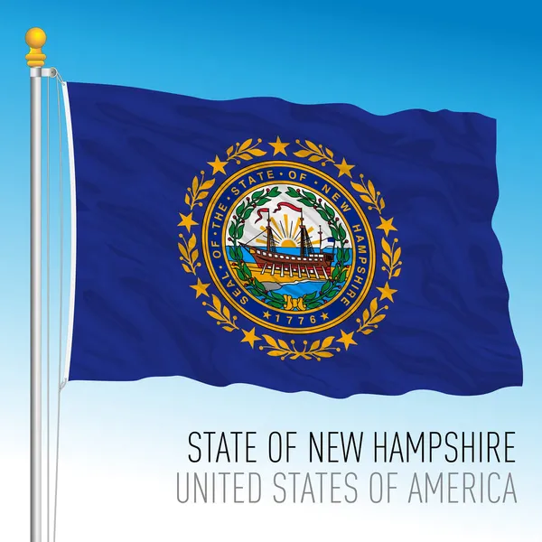 Bandeira Oficial Estado New Hampshire Estados Unidos Eua Ilustração Vetorial — Vetor de Stock