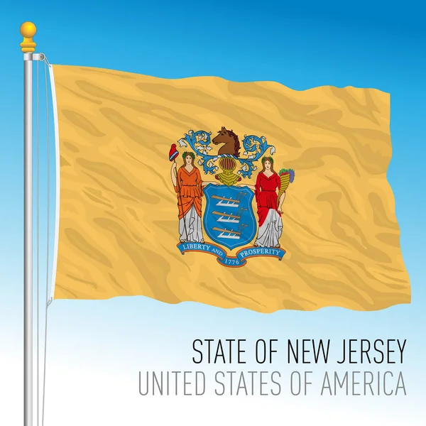 New Jersey State Official Flag United States Usa Vector Illustration — Stock Vector