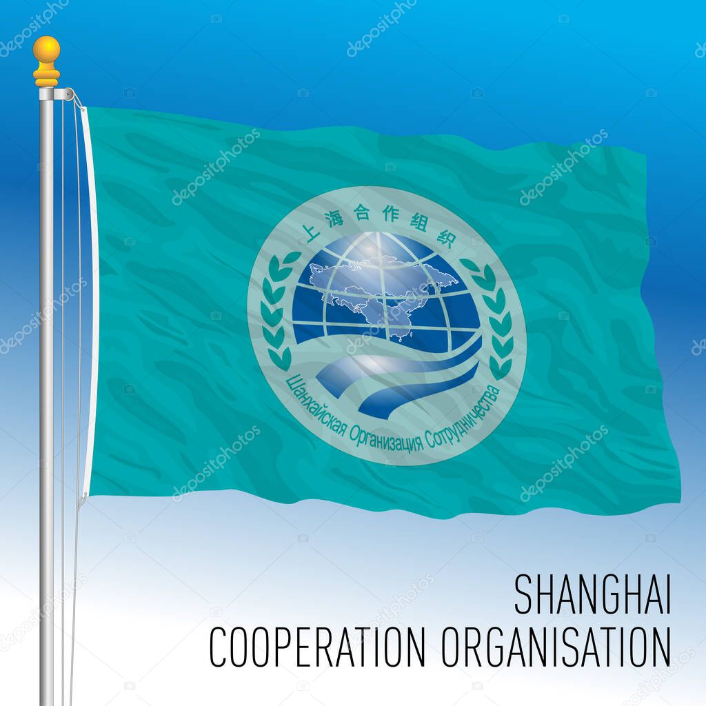 Shanghai Cooperation Organisation flag, international economic organisation, vector illustration