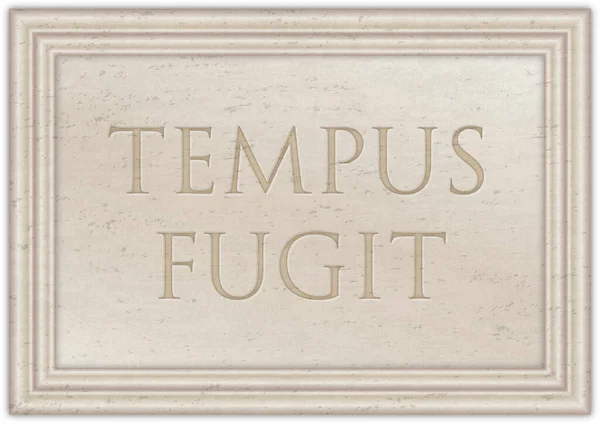 Μαρμάρινη Πλάκα Αρχαία Λατινική Παροιμία Tempus Fugit Εικονογράφηση — Φωτογραφία Αρχείου