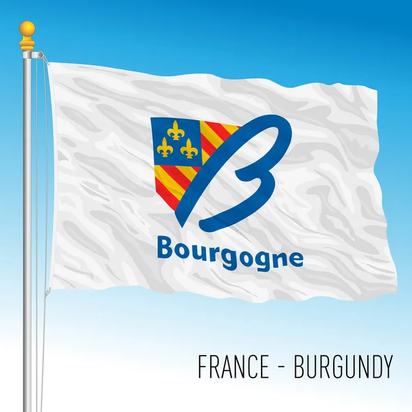 Bandera Regional Bourgogne Francia Ilustración Vectorial — Vector de stock