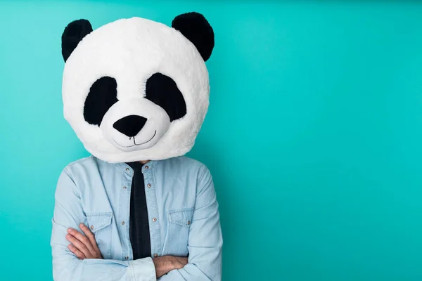 Zelfverzekerde man draagt panda masker staande tegen aquamarijn achtergrond — Stockfoto