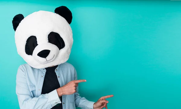 Grappige man in panda masker wijzende vingers naar de zijkant over aquamarijn achtergrond — Stockfoto