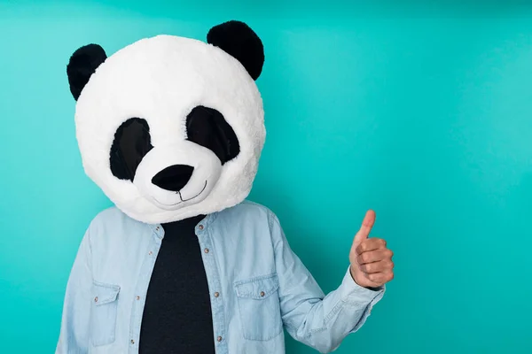 Gelukkig man in panda masker doet duimen omhoog gebaar met de hand — Stockfoto
