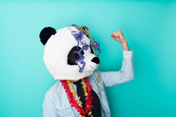 Opgewonden man in panda masker met feest ornamenten vieren op gekleurde achtergrond — Stockfoto