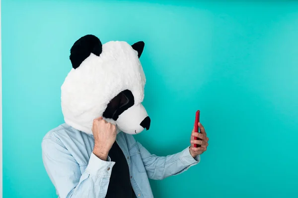 Happy man in panda mask reading good news on mobile phone — Stockfoto