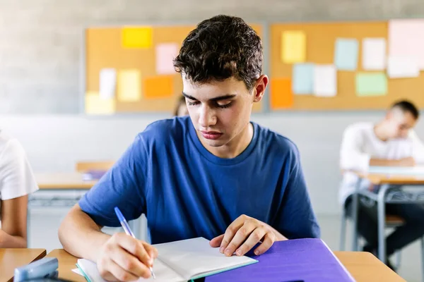 Male Pupil Student Studying Desk School Classroom Education High School — стоковое фото