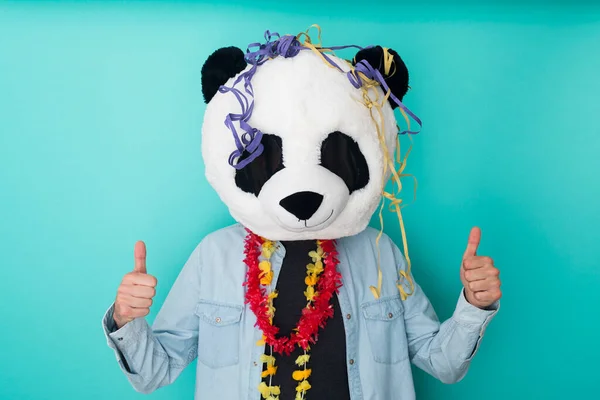 Optimistische Man Panda Masker Met Duimen Tegen Een Blauwe Achtergrond — Stockfoto