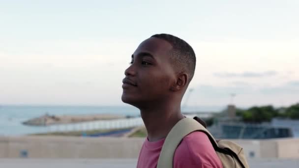 Vista Lateral Retrato Exitoso Confianza Joven Millennial Afroamericano Negro Estudiante — Vídeos de Stock