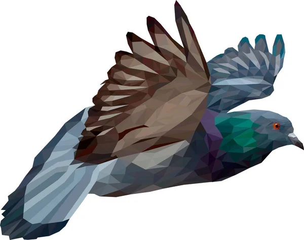 Pigeon Flying Dove Flying Dove White Background — Stockový vektor