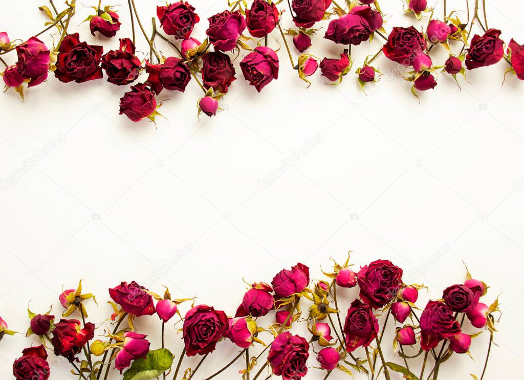 Background of dried red roses on a white background. Flower concept. Top view. Copy space.
