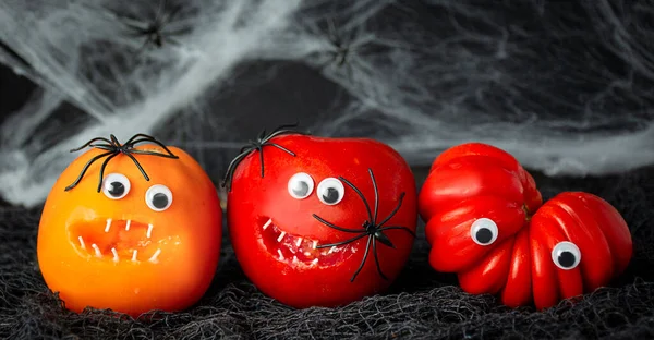 Halloween background. Funny tomati with spiders on a dark background. Halloween food. Banner. Copy space.