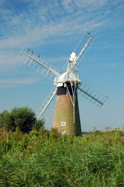 norfolk broads, İngiltere'de yel değirmeni