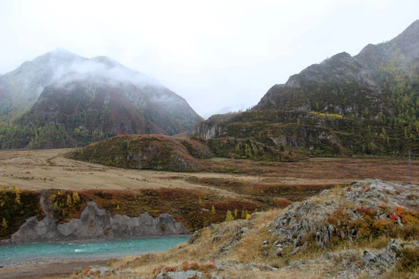 Sonbaharda dağ manzarası. Bir dağ nehrinin kayalık kıyısı.