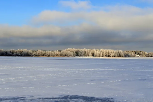 Donmuş bir göl ve orman manzarası. Karla kaplı ağaçlar. Beyaz Rusya 'da kış.