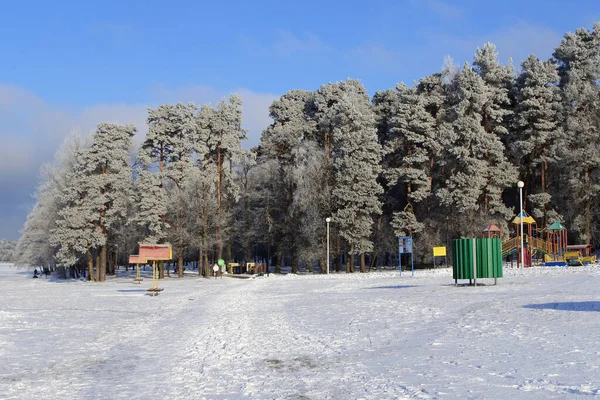 Una Spiaggia Innevata Con Parco Giochi Paesaggio Con Lago Foresta — Foto Stock