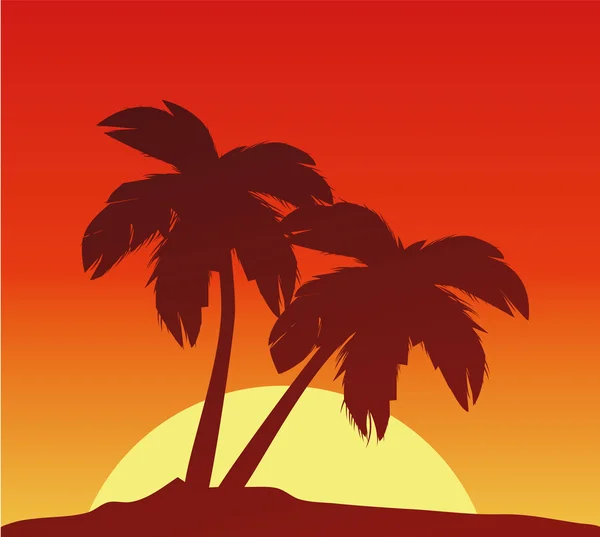 Coucher de soleil avec paumes — Image vectorielle