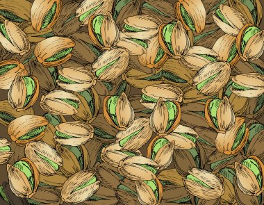 çekilmiş Antep fıstığı doku el