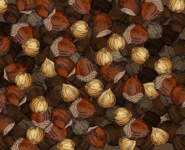 HandDrawn Walnuts Texture Hazelnuts — стоковый вектор
