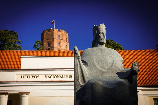Museo Nacional de Lituania con monumento al gran duque Mindaugas y Torre Gediminas, Vilna Imágenes de stock libres de derechos