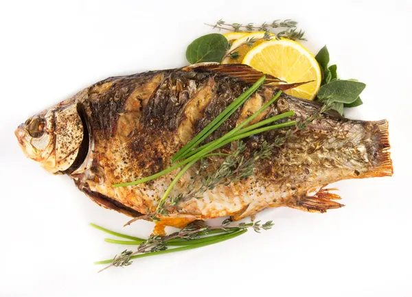 Fried fish crucian, carp Isolated — Stock Photo, Image