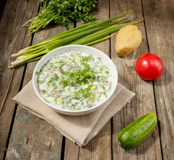 Okroshka - Sopa de verduras fría rusa — Foto de Stock