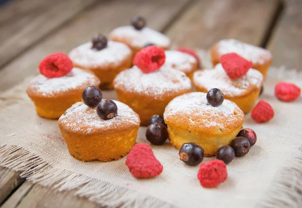 Mini cupcakes aux baies séchées — Photo