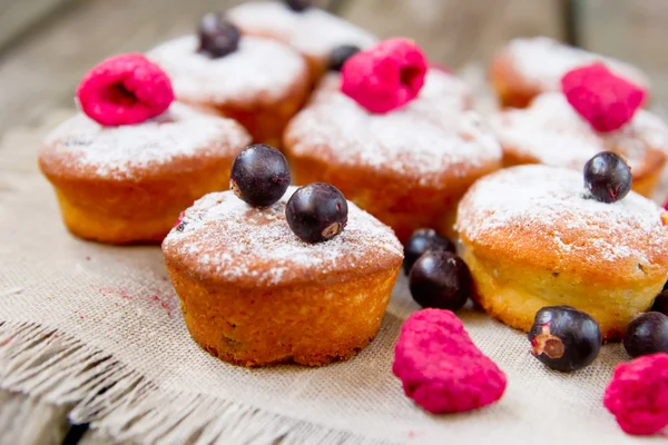 Mini cupcakes with dried berries — Stock Photo, Image