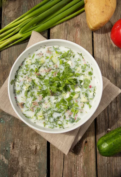 Okroshka - Sopa de verduras fría rusa Imagen de stock