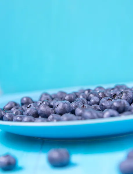 蓝色背景的蓝莓 — 图库照片