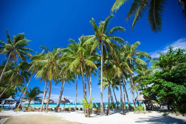 Tropical sunny beach in beautiful exotic resort — Stock Photo, Image