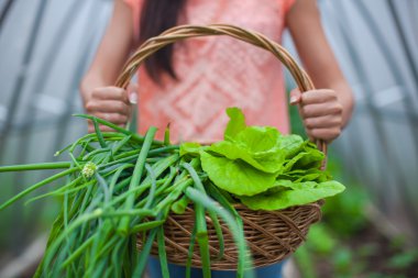 Yeşiller kadının elinde bir sepet Close-Up
