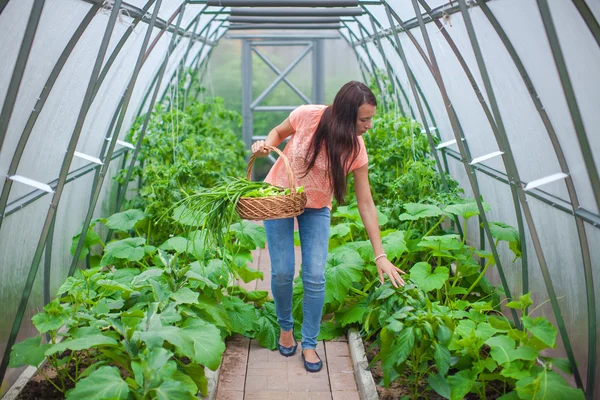 Mladá žena šťastné sklizně ve skleníku — Stock fotografie