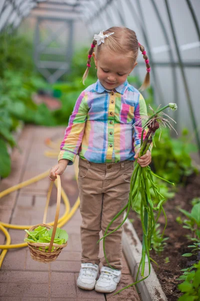 Little girl holds the crop onions in the greenhouse — Stock Photo, Image
