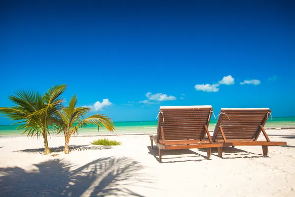 Два шезлонга на экзотическом курорте на пляже с белым песком — стоковое фото