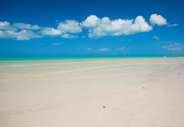 Обильный идеальный пляж на острове — стоковое фото
