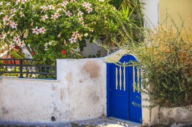 geleneksel ev ve Begonvil Santorini'de çiçekli duvar