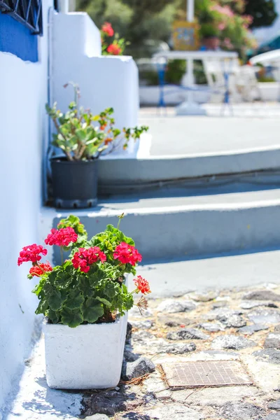 Traditionele Griekse witte bloempot met rode bloemen, santorini eiland, Griekenland — Stockfoto