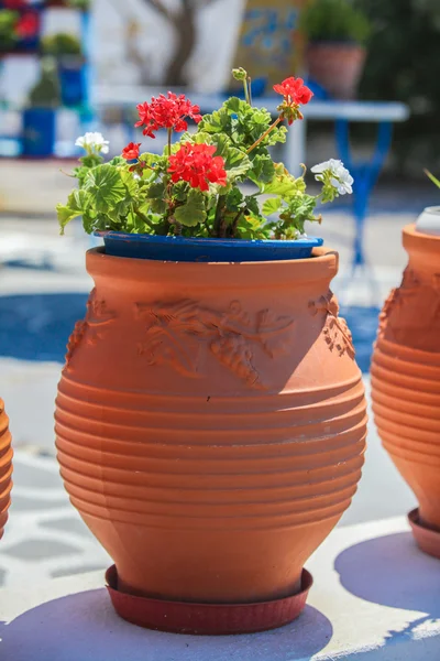 Pot de fleurs traditionnel grec rouge avec des fleurs, île de Santorin, Grèce — Photo