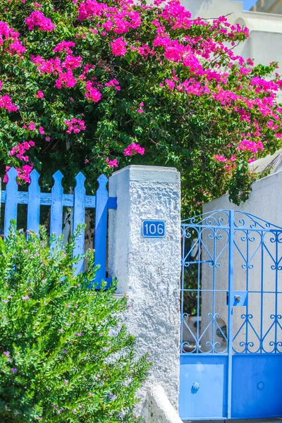 Традиционный дом и цветочная стена Бугаинвиллеа в Фире, столице Санторини, Греция — стоковое фото