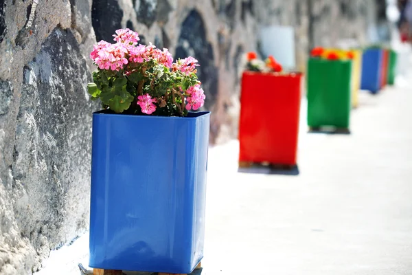Au premier plan du pot de fleurs bleu traditionnel sur l'île de Santorin en Grèce — Photo