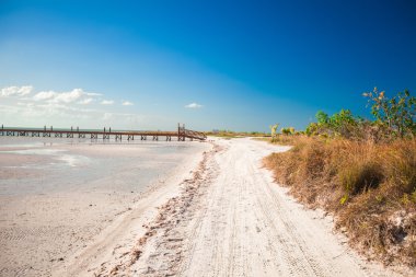 adada tropikal ıssız mükemmel kumsal