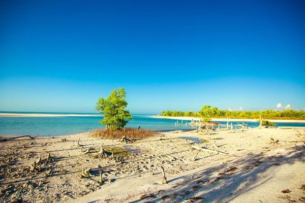 Vue exotique sur le golfe du Mexique sur l'île de Holbox — Photo