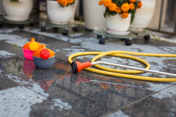 Children's bright watering can and a long hose on the wet ground in the yard — Stock Photo, Image