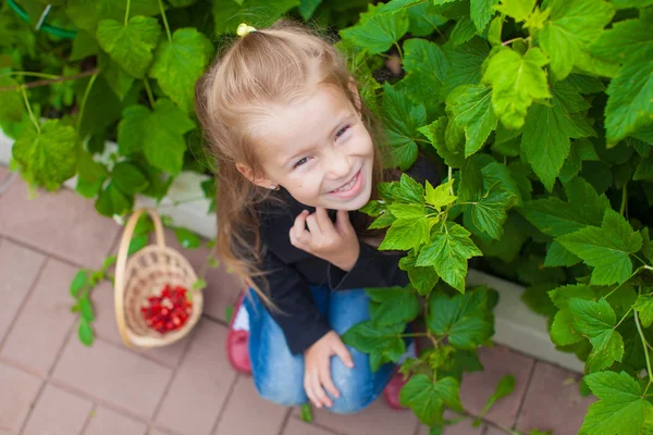 Portret cute dziewczynka w ogrodzie z koszem owoców — Zdjęcie stockowe