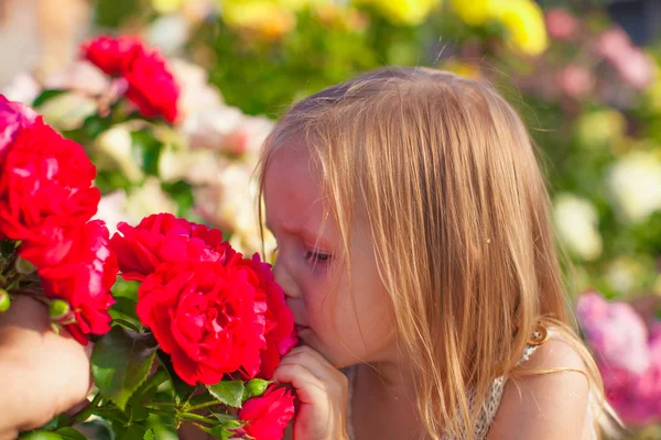 Little girl smelling colorful flowers at summer day — Stock Photo, Image