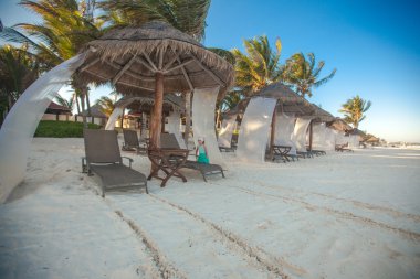 büyük hurma, tropikal egzotik beyaz plage yakınındaki plaj yataklar