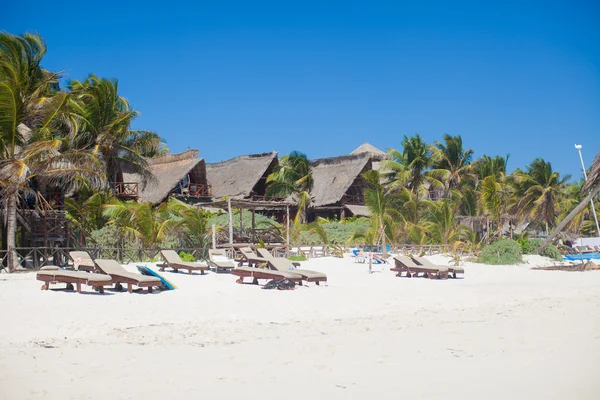 Hotel de lujo en complejo tropical en la orilla del océano con palmeras —  Fotos de Stock